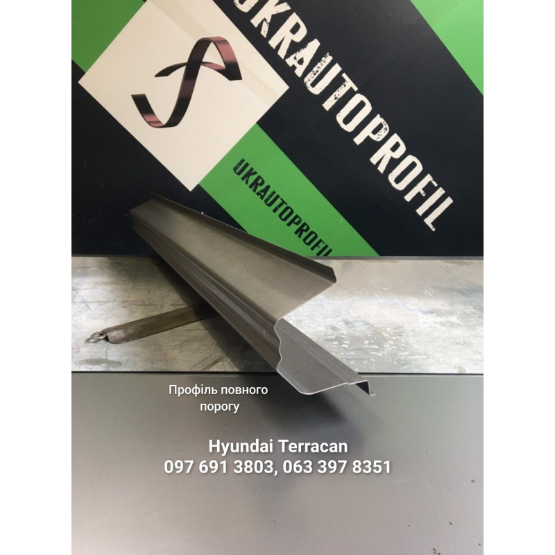 Поріг на Hyundai Terracan (2001-2007 р), повний профіль